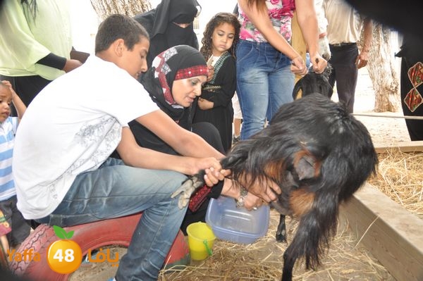 kidrawdaanimals510 (17).JPG